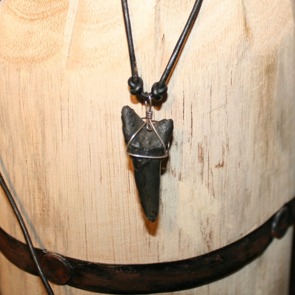 Shark Tooth Pendant Necklace